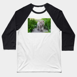 American Shorthair Kitten Digital Painting Baseball T-Shirt